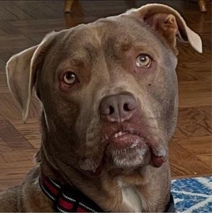 Meet your Posher, Michele